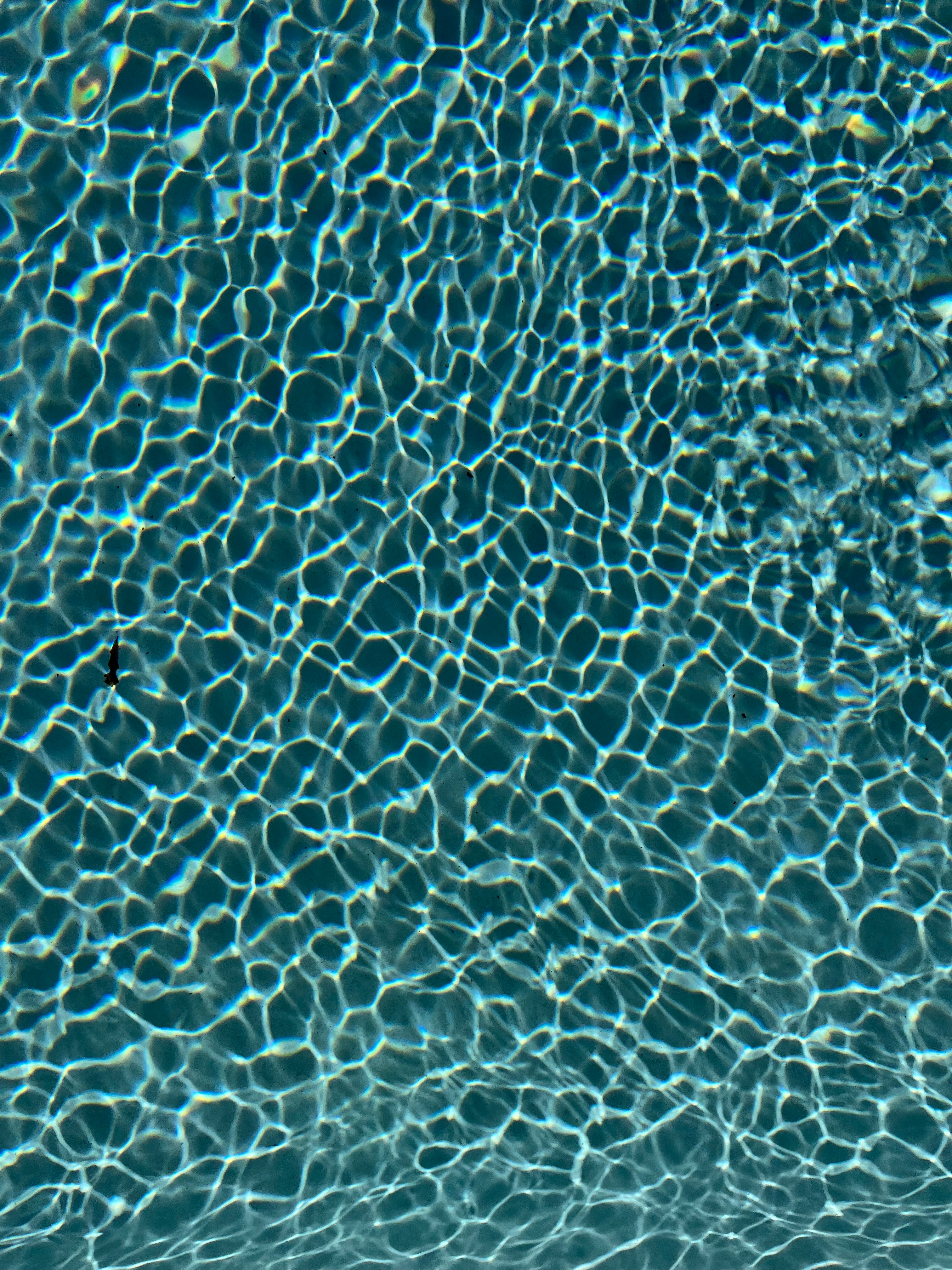 Happy Coulson Pools — Pool maintenance & repair, Hautes-Pyrénées